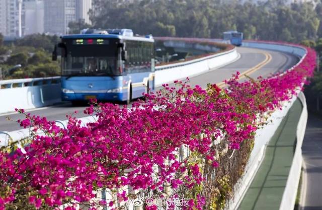 Xiamen BRT is Ten Years Old!