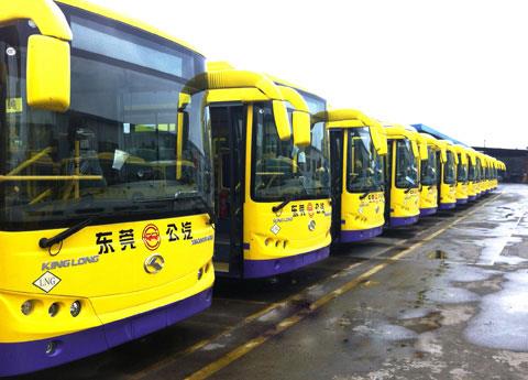 210 King Long LNG Buses Delivered to Dongguan City into Operation